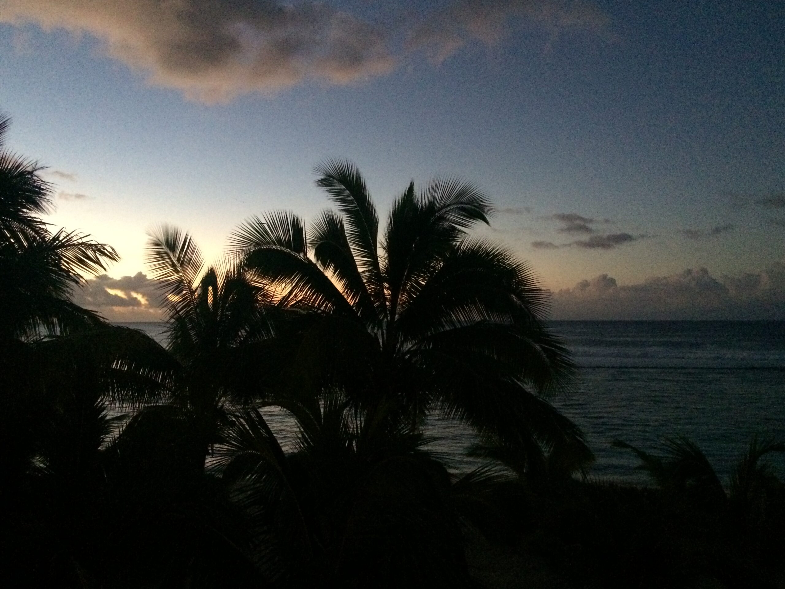 Solnedgang-på-Rarotonga - Sidder Under En Palme