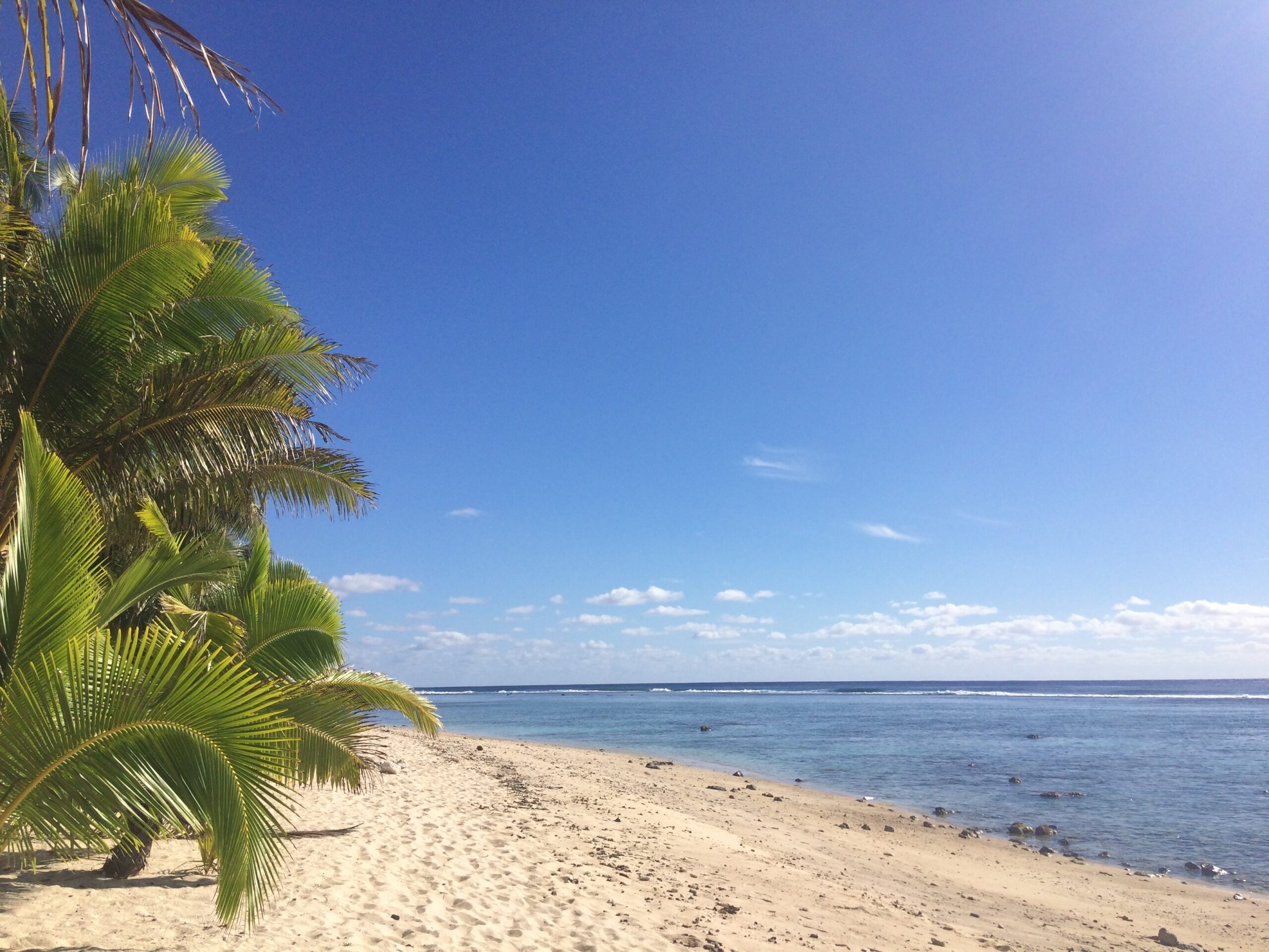 De-fantastiske-bountystrande-på-Rarotonga - Sidder Under En Palme
