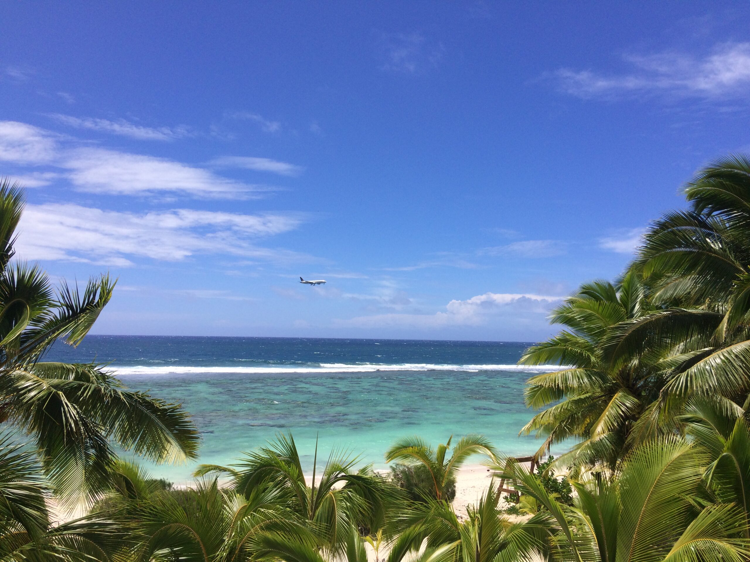 Tag-på-flyvetur-til-Aitutaki-Cook-Islands - Sidder Under En Palme