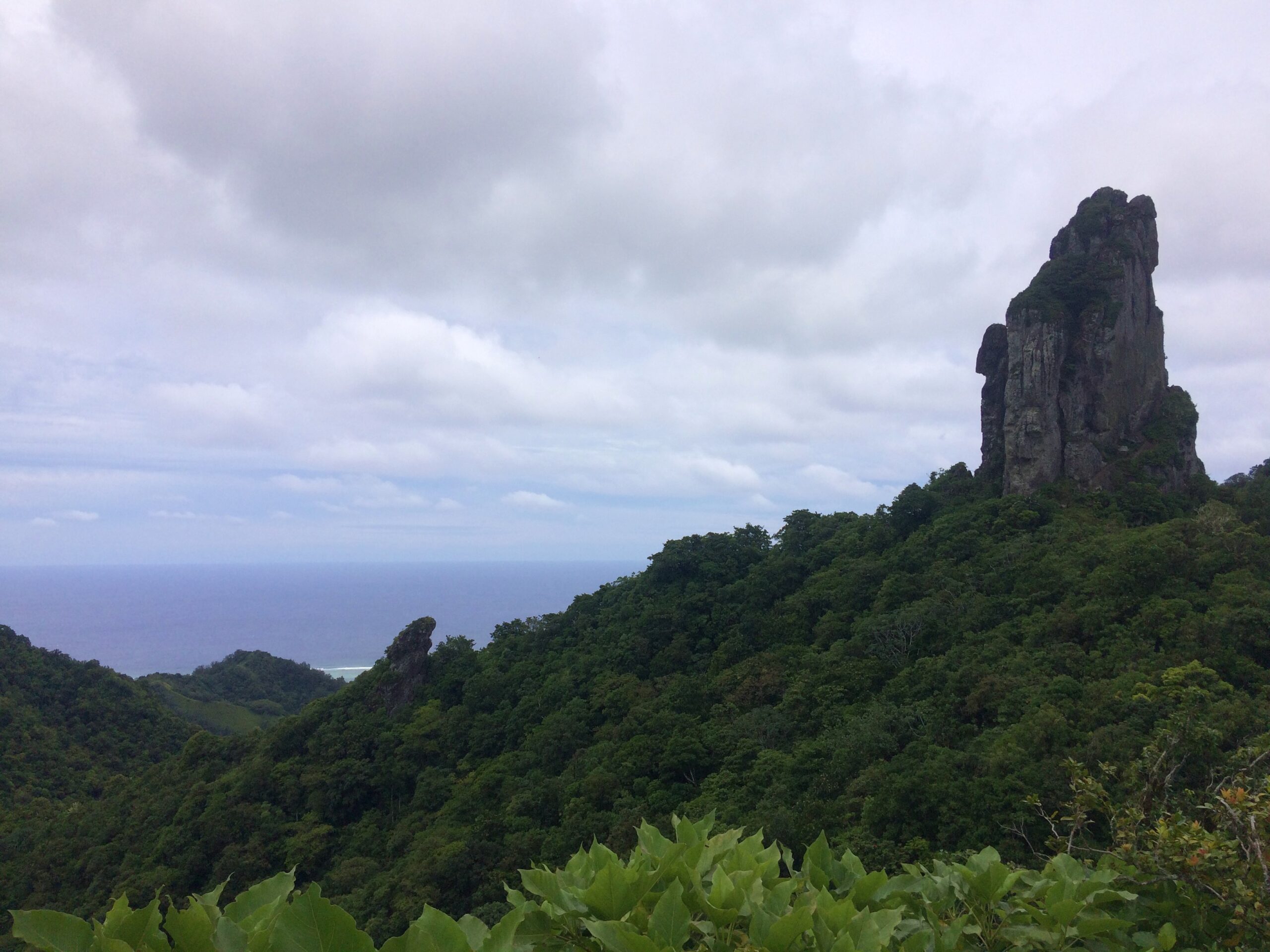 The-Needle-Rarotonga - Sidder Under En Palme