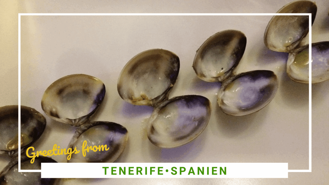 Gode restauranter på Tenerife - og det bedste sted med churros - SidderUnderEnPalme