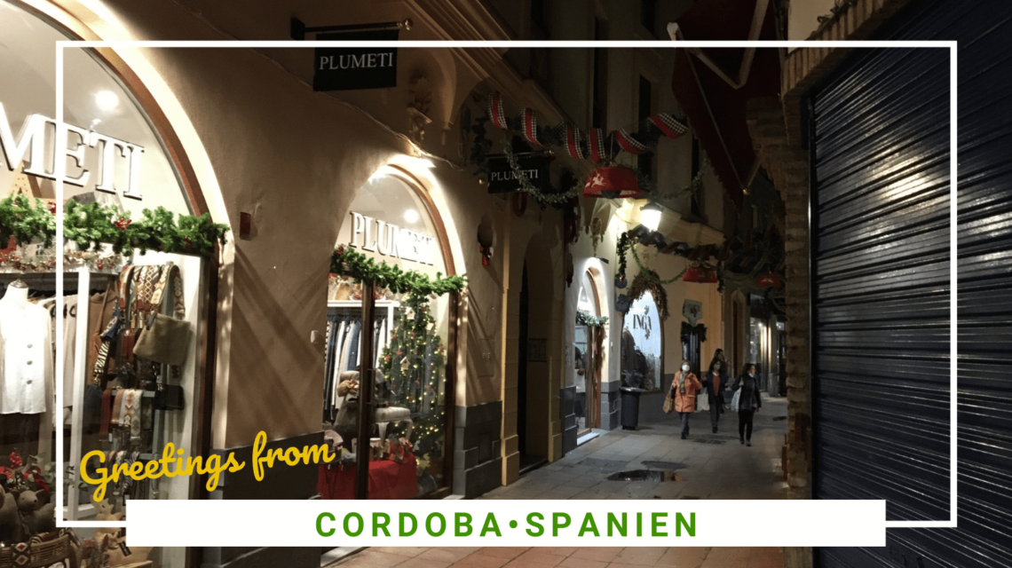 SidderUnderEnPalme - Shopping i Cordoba - her finder du alle de gode butikker
