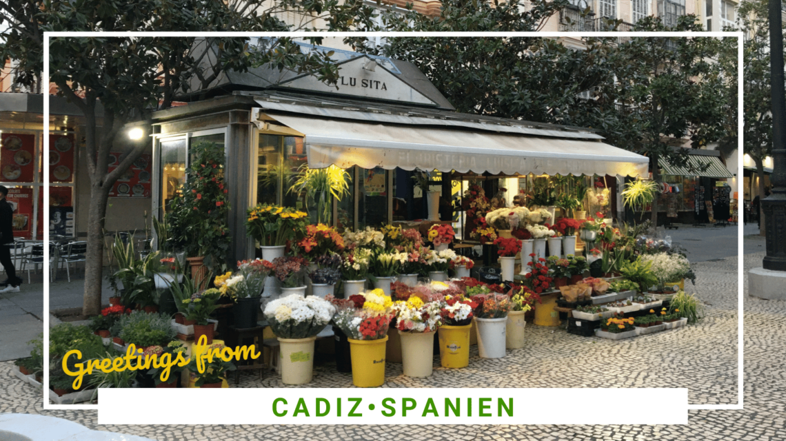 SidderUnderEnPalme - Shopping i Cadiz, Spanien - her finder du alle de gode butikker