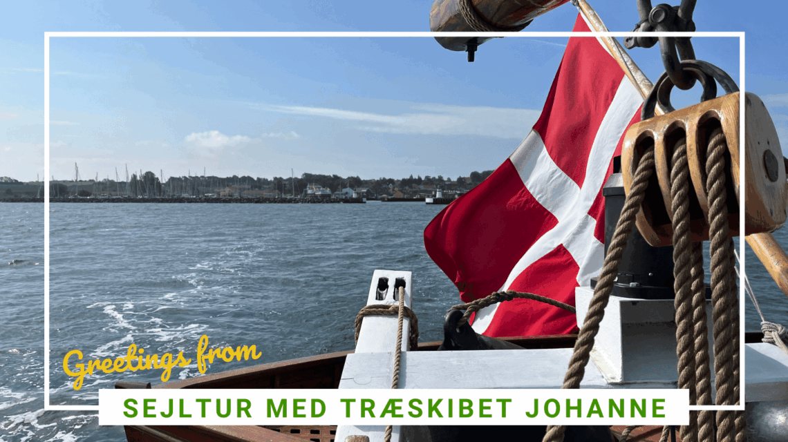 SidderUnderEnPalme - En sejltur med træskib - spørgsmål og svar