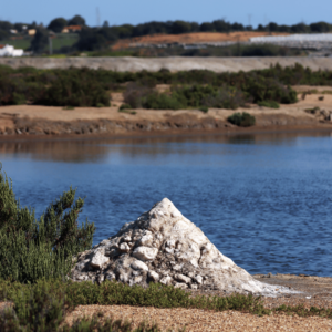 Saltmarker i Isla Cristina - Foto Heidi Kirk Nissen - SidderUnderEnPalme