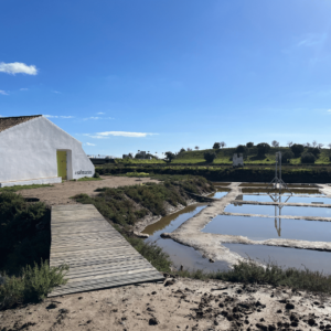 Saltmarker ved Castro Marim - SidderUnderEnPalme