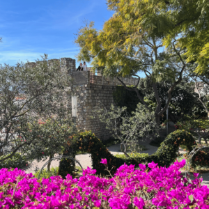 SidderUnderEnPalme - Tavira - Castelo de Tavira