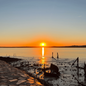 Solnedgang - Ayamonte - SidderUnderEnPalme.png