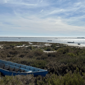 Vandreture på Algarvekysten - Fuseta - SidderUnderEnPalme