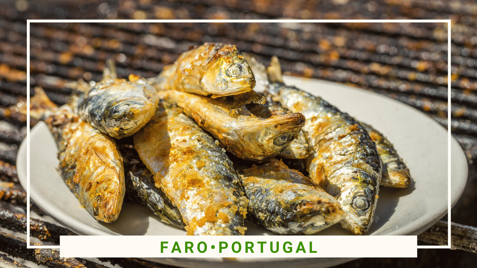 Gode restauranter i Faro, Portugal - Sidder Under En Palme