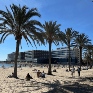 SidderUnderEnPalme - Hotel Melia Alicante