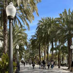SidderUnderEnPalme - Esplanade d'Espagne i Alicante