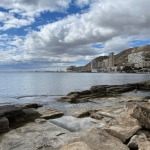 SidderUnderEnPalme - Romernes fiskebassiner i Alicante