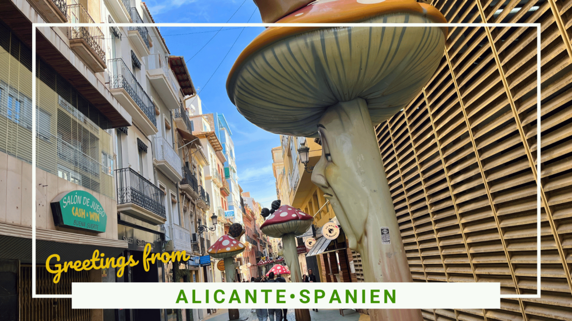 SidderUnderEnPalme - Shopping i Alicante – her finder du alle de gode butikker