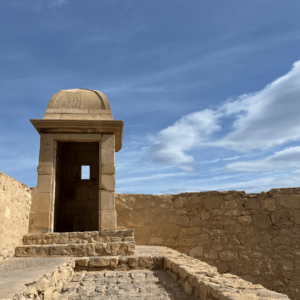 SidderUnderEnPalme - Skydeskår på Castillo de Santa Barbara