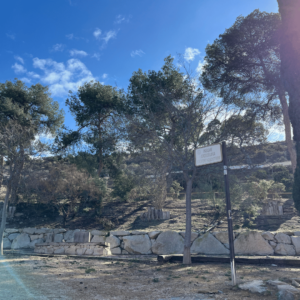 SidderUnderEnPalme - Solveig Nordströms park i Alicante