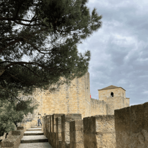 SidderUnderEnPalme - Castelo Sao Jorge i Lissabon