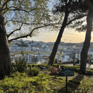 SidderUnderEnPalme - Jardim do Torel i Lissabon