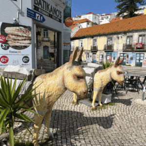 Æsler i Cacilhas, Lissabon - SidderUnderEnPalme