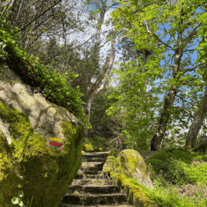 Caminho de Santa Maria i Sintra - SidderUnderEnPalme