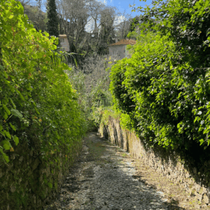 Caminho dos Castanhais i Sintra - SidderUnderEnPalme