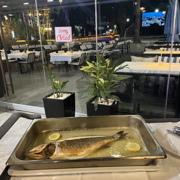 Fiskerestauranten Ammare - byens perle Fiskerestauranten Ammare - byens perle