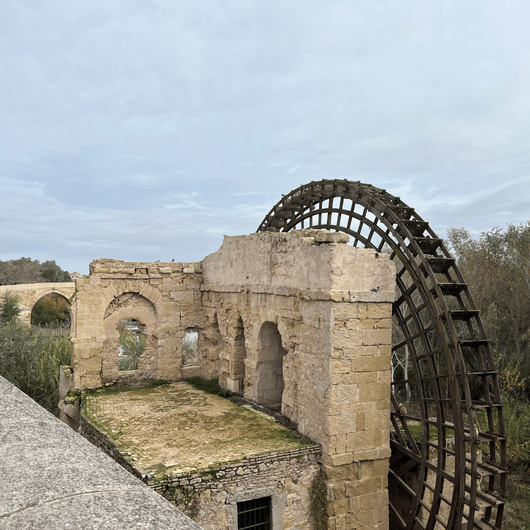 Vandhjulet i Córdoba - SidderUnderEnPalme Vandhjulet i Córdoba - SidderUnderEnPalme