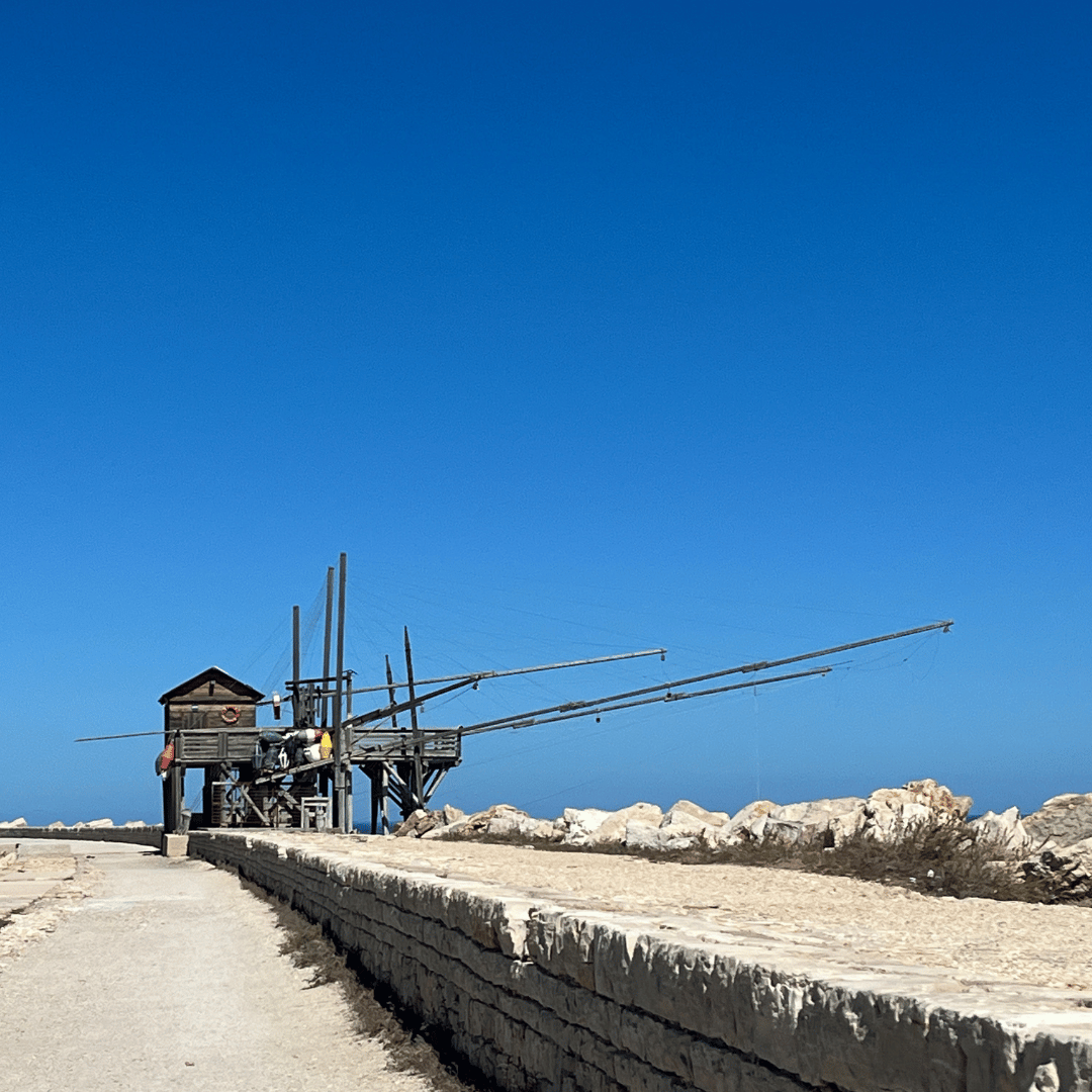 SidderUnderEnPalme - Barletta, Italien - Molen SidderUnderEnPalme - Barletta, Italien - Molen