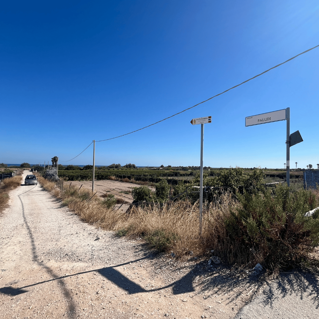 SidderUnderEnPalme - Barletta, Italien - Via Francigena SidderUnderEnPalme - Barletta, Italien - Via Francigena